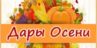 "Дары осени": в нашей школе прошла яркая осенняя ярмарка