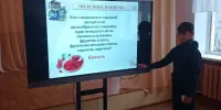 Интерактивная игра "Секреты здорового питания"
